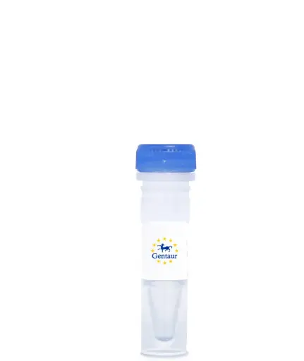 [DASHCH-328] Cholera Toxin Subunit B